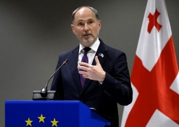 “გავაგრძელებთ მზია ამაღლობელის დაუყოვნებლივ გათავისუფლების მოთხოვნას” – ჰერჩინსკი