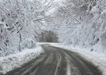 მოძრაობა აკრძალულია! – მნიშვნელოვანი ინფორმაცია მძღოლებისთვის