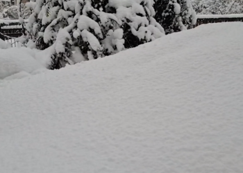 “პარკინსონით დაავადებულ ქალს შეტევები აქვს, ვერავინ ეხმარება… ასევე ვერ გადიან მოხუც ცოლ-ქმართან კონტაქტზე” – სტიქია გურიაში