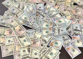 შიდა ქართლში 6 500 დოლარის ოდენობის ყალბი კუპიურა გაასაღეს – დაკავებულია 1 პირი