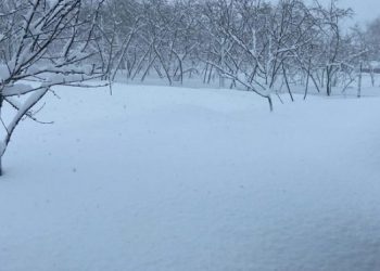 “დილიდან ვანის სოფლები დახმარებას ითხოვს… მერიას დილიდან ვწერთ, შედეგი ნულია” – რას წერს ადგილობრივი