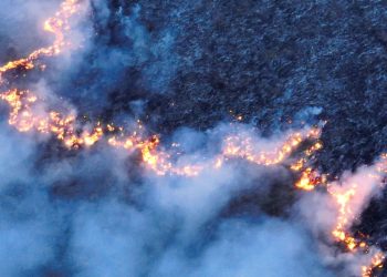 “ხანძარი რამდენიმე საათში მიადგება ოკუპირებულ სოფელს – რას შვრებიან ამ დროს ოკუპანტები? – არაფერს” – დავით ქაცარავა