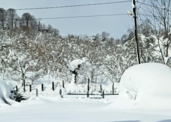 “სიბნელეში და უიმედობაში ვართ – მსხვერპლი სანამ არ მოჰყვა ამბავს მანამდე არაფერი იცოდა საქართველომ” – წერილი გურიიდან