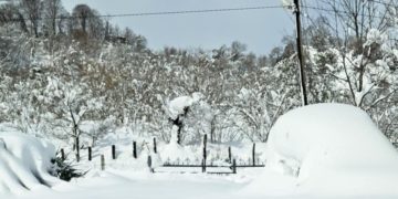 “სიბნელეში და უიმედობაში ვართ – მსხვერპლი სანამ არ მოჰყვა ამბავს მანამდე არაფერი იცოდა საქართველომ” – წერილი გურიიდან