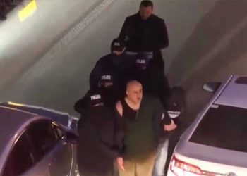 ნიკა მელია დააკავეს