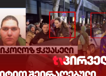 ვინ დაესხა აქციის მონაწილეებს თავს ბიტით – მედია