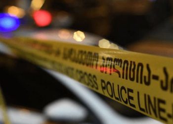 გურიაში დაიღუპა კაცი, რომელიც მეზობლის დახმარებას ცდილობდა – მედია