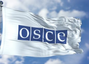 არჩევნები, ჯარიმების გაუქმება, არაადამიანური მოპყრობის ფაქტების გამოძიება – OSCE-ის სახალხო პარტიის განცხადება საქართველოზე