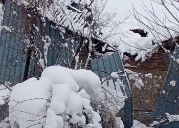 “სახლი საიდანაც ძლივს გამოასწრეს, ბებიამ ფეხშიშველმა იარა შორეულ მეზობლამდე” – გურია