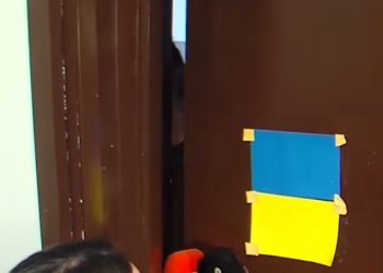 (ვიდეო) – “როგორ ექცევა რეჟიმი სანდრო ცნობილაძის 82 წლის დედას”