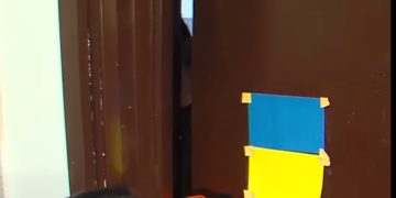 (ვიდეო) – “როგორ ექცევა რეჟიმი სანდრო ცნობილაძის 82 წლის დედას”