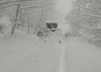 გარემოს ეროვნული სააგენტოს გამაფრთხილებელი ინფორმაცია
