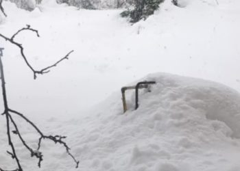 “სასწრაფოდ! ხალხი იგუდება” – ხიდისთავში ოჯახი ფანჯრებს ვერ აღებს და სახლი გაკვამლულია