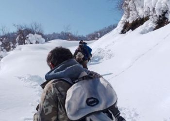 ხარაგაულის მთებში, სამ მწყემსს ეძებენ