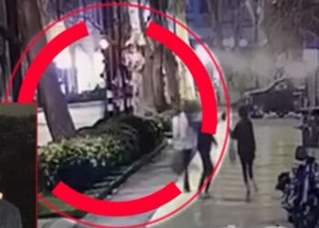 მკვლელობის ორი ვერსია – დეტალები