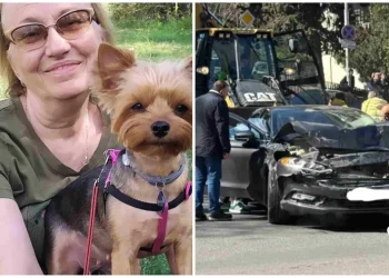 “ძაღლს ასეირნებდა, როცა დაგორებული ტრაქტორი დაეჯახა” – ცნობილია, ორთაჭალაში ტრაგიკულად დაღუპული ქალის ვინაობა