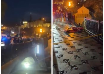 ,, დაახლოებით ნახევარი საათის წინ ისევ გადავარდა ავტომობილი მტკვარში ხიდიდან” – ,,ჩემი ქალაქი მკლავს”