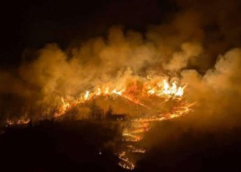 წალენჯიხის ორ სოფელში ხანძარია