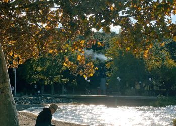 ,,პატარა ძაღლი გადარჩა და სტაბილურადაა… ნაგაზი გადაყვანილია მუნიციპალურში” – ლისის ტბაზე მომხდარ ფაქტთან დაკავშირებით, ადმინისტრაცია განცხადებას ავრცელებს