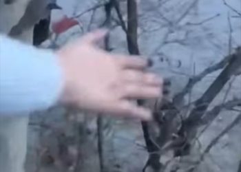 თავდაცვის სამინისტროს მიმდებარე ტერიტორიაზე, მტკვარში ადამიანი ჩავარდა