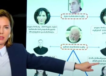 „ყველა საქმე, რომელსაც წულუკიანის ე.წ კომისია განიხილავს, კლანთანაა დაკავშირებული“ – ანა დოლიძე