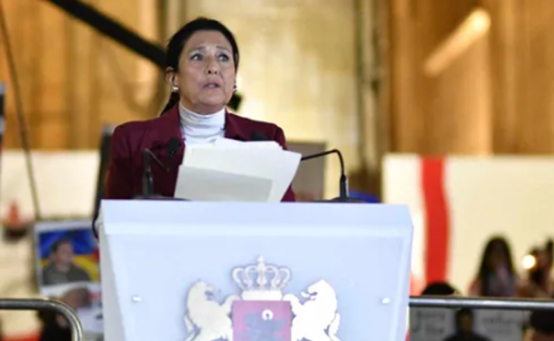 “საჯაროდ ვაცხადებ, შეიქმნას წინააღმდეგობის პლატფორმა” – ზურაბიშვილი