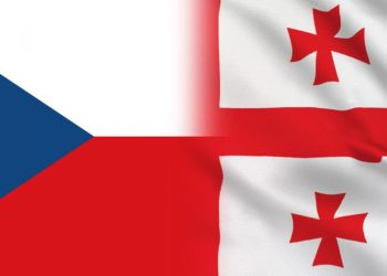 “ღრმა კრიზისი, რომელიც საქართველოშია, ვერ მოგვარდება ახალი არჩევნების გარეშე” – ჩეხეთის რეზოლუცია