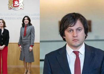 “ვინმეს თუ აინტერესებს, შეხვედრაზე საუბარი იყო თუ არა რიგგარეშე არჩევნებზე…” – რა გზავნილები ჰქონდა ელჩისთვის “ოცნებას”?