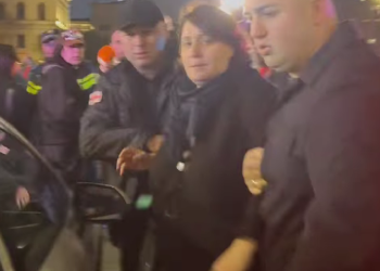 ელენე ხოშტარია ამ დრომდე დროებითი მოთავსების იზოლატორში რჩება