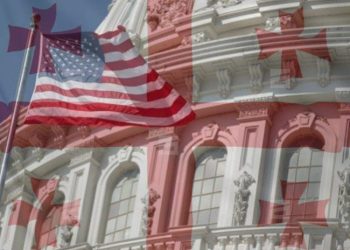 MEGOBARI ACT-ის სენატში დარეგისტრირებულ ვერსიას საგარეო კომიტეტი მომდევნო კვირის დასაწყისში განიხილავს – რაუფოღლუ