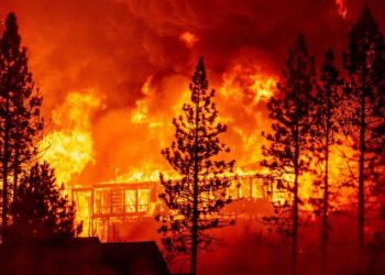 ბოლო ერთ კვირაში ტყის ხანძრის რამდენიმე ფაქტი დაფიქსირდა, შესაძლო მიზეზად ადამიანთა დაუდევრობა განიხილება – სამინისტროს გაფრთხილება