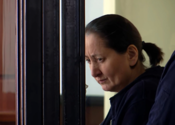 SJC: მზია ამაღლობელის საქმეზე სასამართლო მეგობრის მოსაზრება წარვადგინეთ