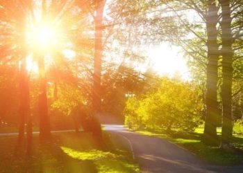 როგორი ამინდია მოსალოდნელი დღეს საქართველოში