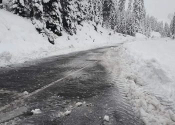 რა მდგომარეობაა ამ დროისთვის გზებზე – განახლებული ინფორმაცია