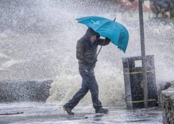 “წვიმა, ელჭექი, ქარი” – სინოპტიკოსების გაფრთხილება ამინდის შესახებ