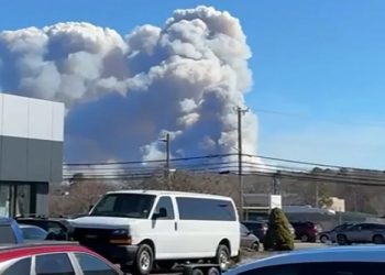 ნიუ-იორკში, ძლიერი ქარის შედეგად, ტყის ხანძრები გაჩნდა