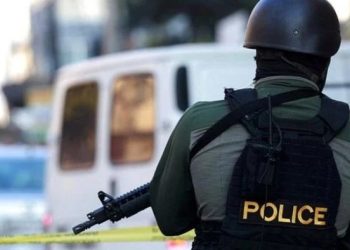 შსს-მ „ქურდულ სამყაროსთან“ კავშირში მყოფი 7 პირი დააკავა