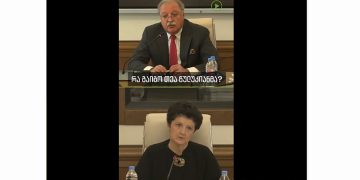 (ვიდეო) – “პირდაპირ იტყუება” – რა გაიგო და რა არ გაიგო წულუკიანმა?