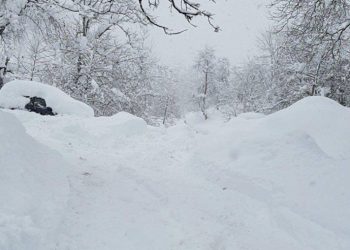 საჯარო მოხელეები “დიდთოვლობის დროს სტიქიასთან ბრძოლაში აქტიურად ჩართულობისთვის“ ხელფასზე დანამატებს მიიღებენ