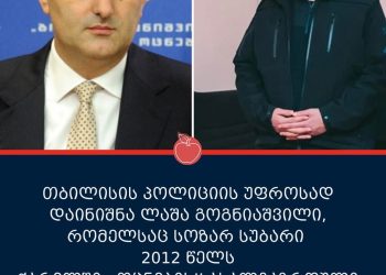 2012 წელს, სოზარ სუბარი, ლაშა გოგნიაშვილს ,,ოცნების” წევრისთვის იარაღის ჩადების მცდელიბაში ადანაშაულებდა