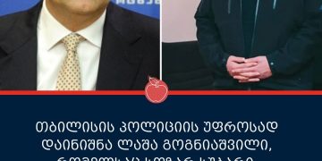 2012 წელს, სოზარ სუბარი, ლაშა გოგნიაშვილს ,,ოცნების” წევრისთვის იარაღის ჩადების მცდელიბაში ადანაშაულებდა