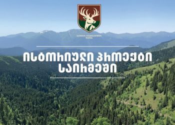 მალე საირმის ტყეს კეთილშობილი კავკასიური ირემი დაუბრუნდება – „საირმეს რეკრეაციული ფერმის“ სამუშაოები უკვე დაწყებულია