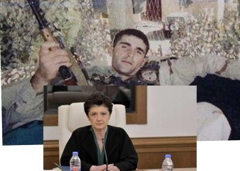 ,, ყველა ბავშვს სჭირდება თავისი მშობელი სახლში და არა უაზროდ განწირული ვიღაცის პიარისთვის” – წულუკიანი ანწუხელიძეზე