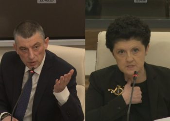 „ბატონო გიორგი, ისე ნუ იზამთ, თითქოს ჩვენ დავთხარეთ ვიღაცას თვალები“ – თეა წულუკიანი