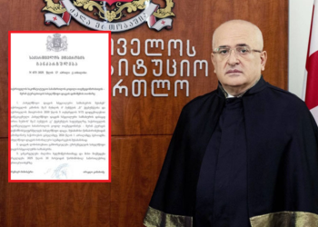 კობახიძის განკარგულებით, საკონსტიტუციოს ყოფილ თავმჯდომარეს სახელმწიფო დაცვა დაენიშნა