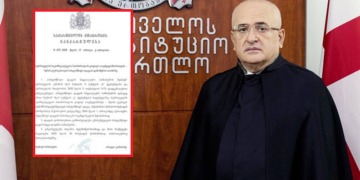 კობახიძის განკარგულებით, საკონსტიტუციოს ყოფილ თავმჯდომარეს სახელმწიფო დაცვა დაენიშნა