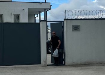 დავით გუნაშვილმა საპატიმრო დატოვა