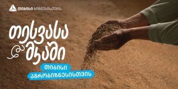 თიბისი აგრობიზნესისთვის – მირიანაშვილების პურის ყანა, ტრადიციიდან ინოვაციამდე