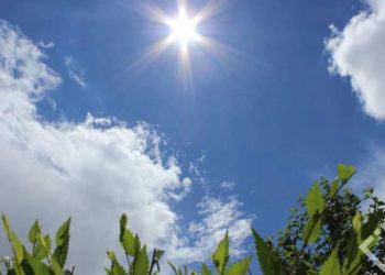 როგორი ამინდი იქნება საქართველოში 17 აპრილს