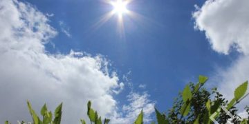 როგორი ამინდი იქნება საქართველოში 17 აპრილს